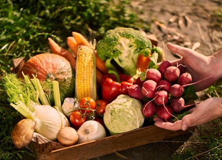 La Jardinière, fruits et légumes