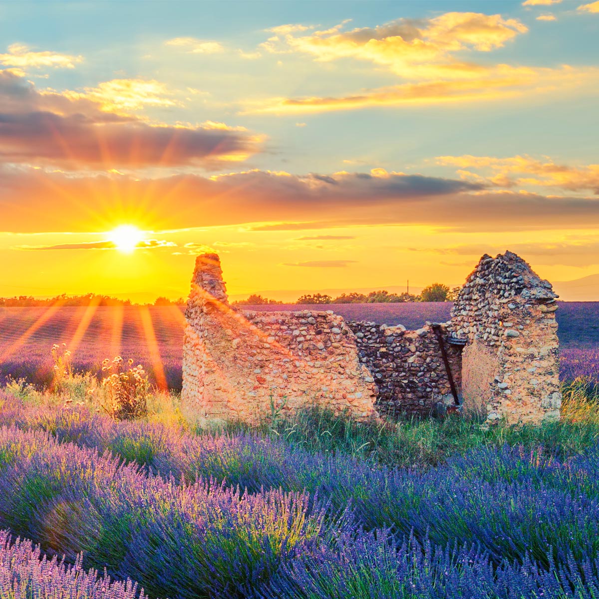 Soleil de Provence