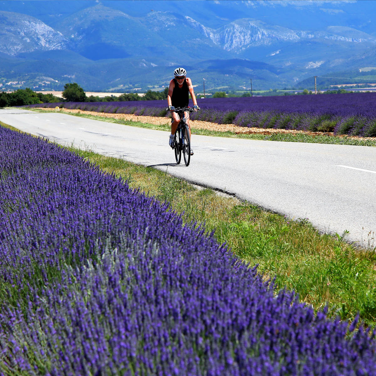 Balade en vélo