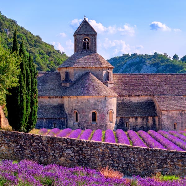 Monastère de Senanque / Provence